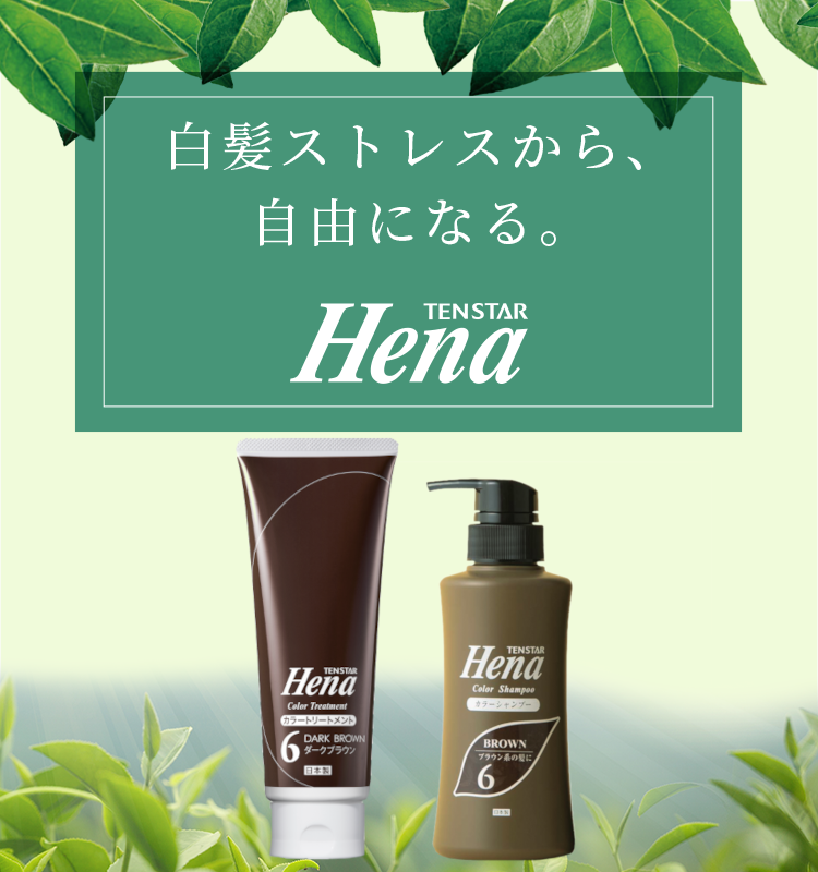 テンスターカラーシャンプーSBK 300ML × 10個セット :20230831135543