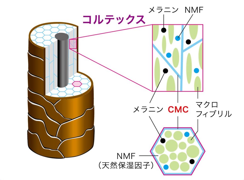 CMCの効果イメージ