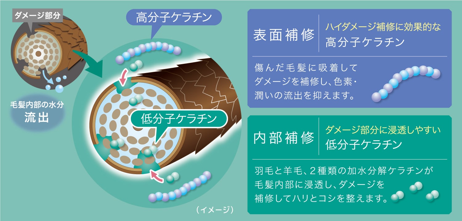 トリプルケラチンのイメージ